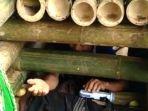 Lansia-berinisial-B-63-dipasung-keluarga-di-kerangkeng-bambu.jpg