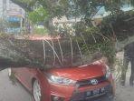 Mobil-Tertimpa-Pohon-Tumbang-di-Medan.jpg