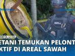 Pelontar-ditemukan-di-sawah.jpg