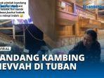 Penampakan-Kandang-Kambing-Mewah.jpg