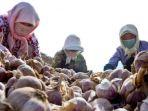 Petani-Cina-Boleh-Bayar-DP-Rumah-Pakai-Semangka-dan-Bawang-Putih.jpg