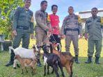 Satpol-PP-dan-WH-Aceh-Jaya-melelang-sebanyak-4-ekor-ternak.jpg
