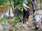Seekor-buaya-berbobot-700-Kg-yang-menyerang-warga-di-Inhil-akhirnya-berhasil-dievakuasi-TRC-DPKP.jpg