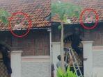 Seorang-Bayi-Merangkak-di-Atap-Rumah-Bikin-Panik-Warga.jpg