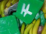 Temuan-kokain-yang-dibungkus-berbentuk-kubus-di-sekitar-pisang.jpg