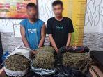 Tersangka-kurir-ganja-dan-barang-bukti-ganja-10-kg-diamankan-di-Mapolres-Langsa.jpg