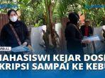 VIRAL-Seorang-Mahasiswi-Kejar-Dosen-Skripsi-Sampai-ke-Kebun-Agar-Cepat-Wisuda.jpg