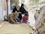 Warga-Gaza-Makan-Pakan-Ternak.jpg