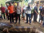 Warga-berhasil-menangkap-buaya-yang-menggigit-Raminten-dan-anaknya-di-Sungai-Marbau.jpg