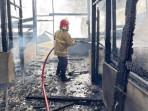 etugas-pemadam-kebakaran-melakukan-upaya-pemadaman-terhadap-rumah-yang-terbakar.jpg