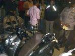 kondisi-sepeda-motor-honda-scoopy-yang-rusak-tertimpa-pohon-kelapa.jpg