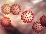 lustrasi-virus-corona-varian-delta-atau-b16172.jpg