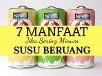 susu-beruang.jpg