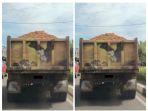 truk-pengangkut-material.jpg