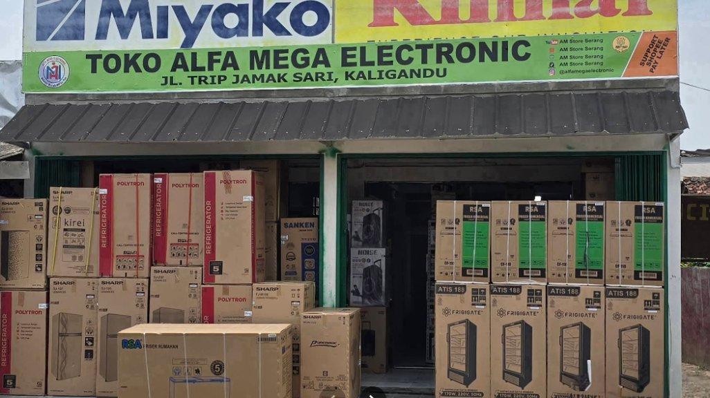 Alfa Mega Electronic