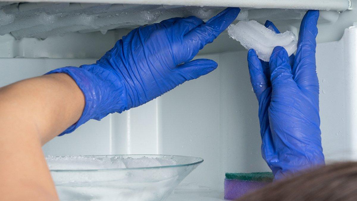 Matikan suhu pada freezer agar bunga es mencair.