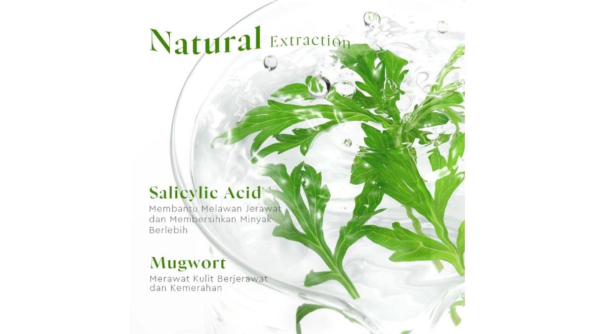 Glad2Glow Mugwort Salicylic Acid Acne Clear Micellar Water