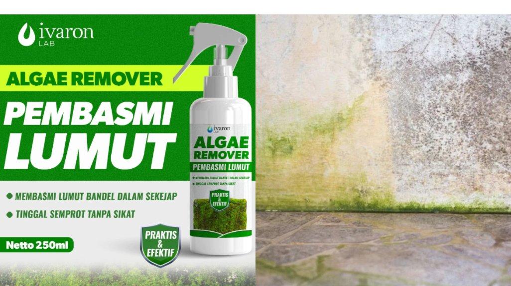 IVARON Pembersih Lumut Semen Obat Penghilang Paving Anti Mold Algae Pembasmi Kamar Mandi