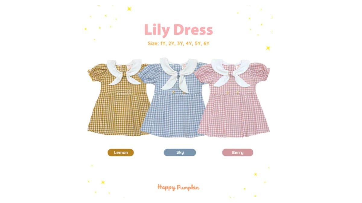 Ilustrasi Happy Pumpkin - Lily Dress, dress anak perempuan usia 1 hingga 6 tahun