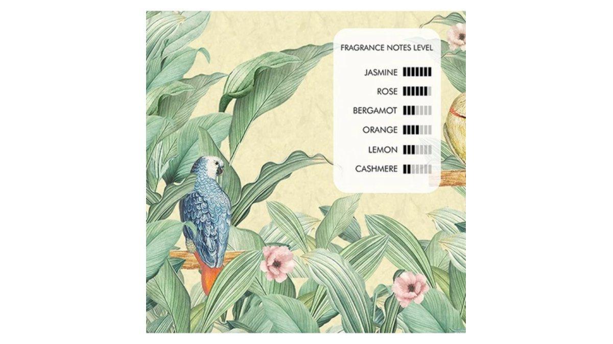 Ilustrasi aroma dan karakter pafrum Careso Jasmine Blossom yang wangi