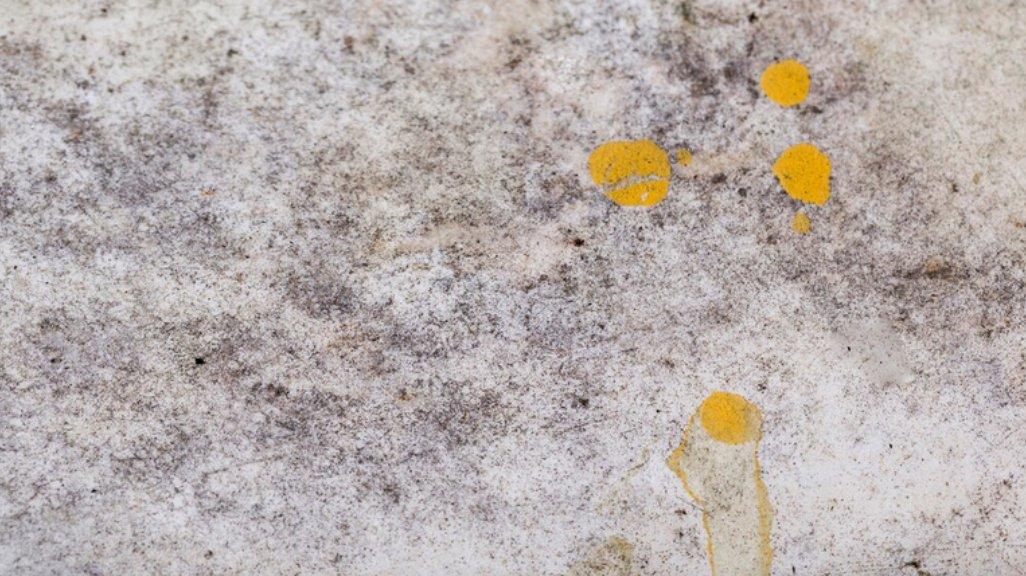 Ilustrasi black mold pada dinding.