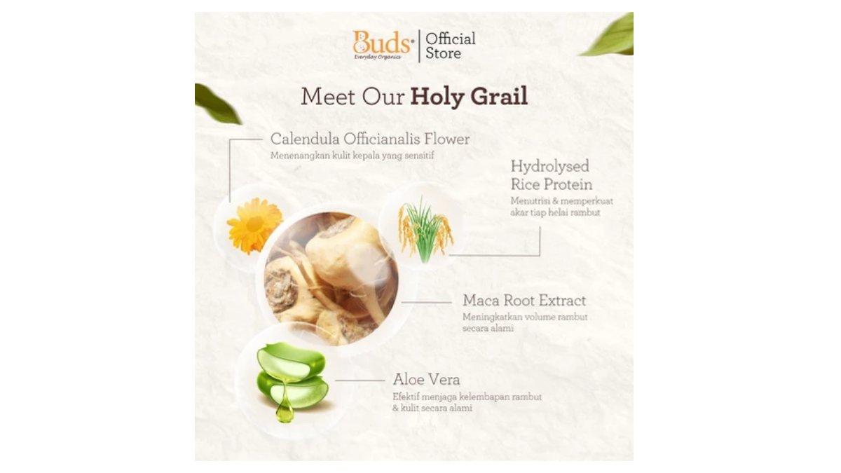 Ilustrasi kandungan utama dan manfaat Buds Organics Hair Volume Booster