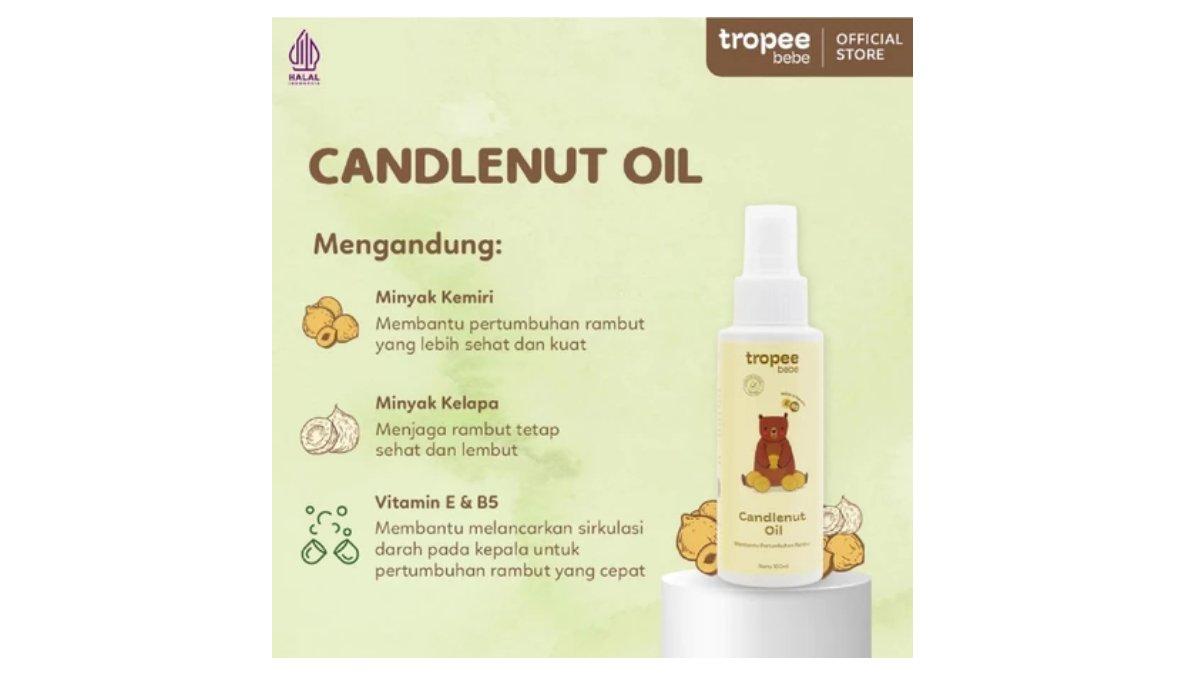 Ilustrasi kandungan utama dari produk Tropee Bebe Candlenut Oil