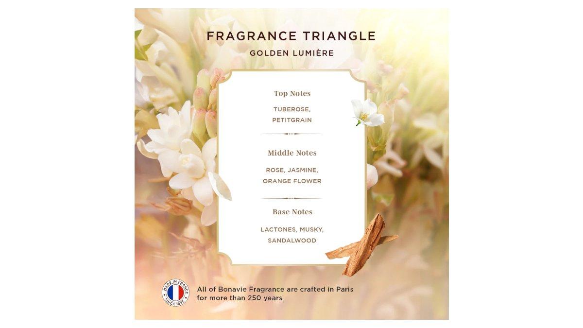 Ilustrasi karakter dan aroma Bonavie Eau De Parfum Golden Lumiere yang wangi tahan lama