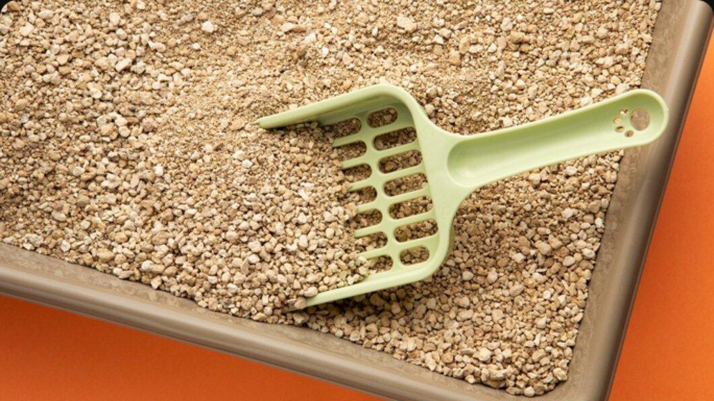 Ilustrasi litter box.