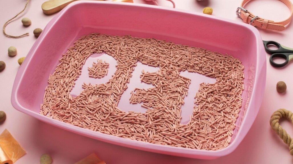 Ilustrasi litter box.