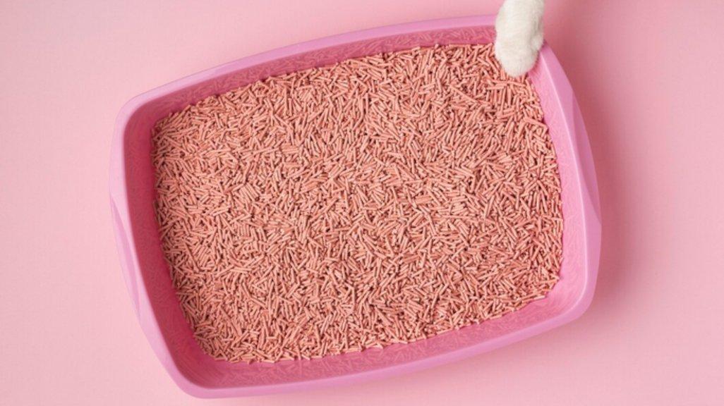 Ilustrasi litter box.