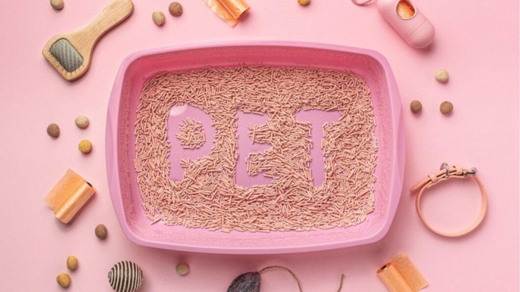 Ilustrasi litter box.