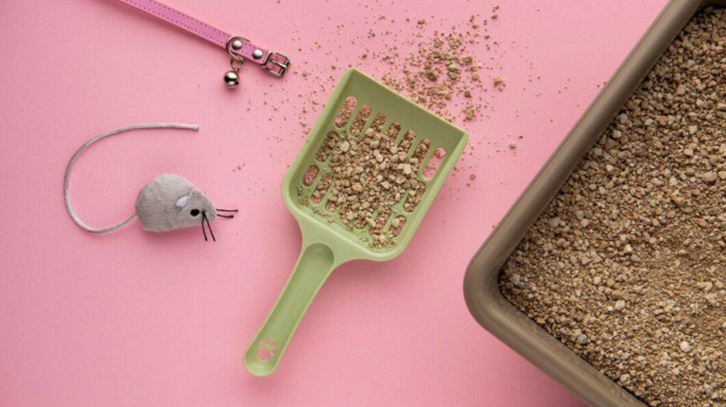 Ilustrasi litter box.