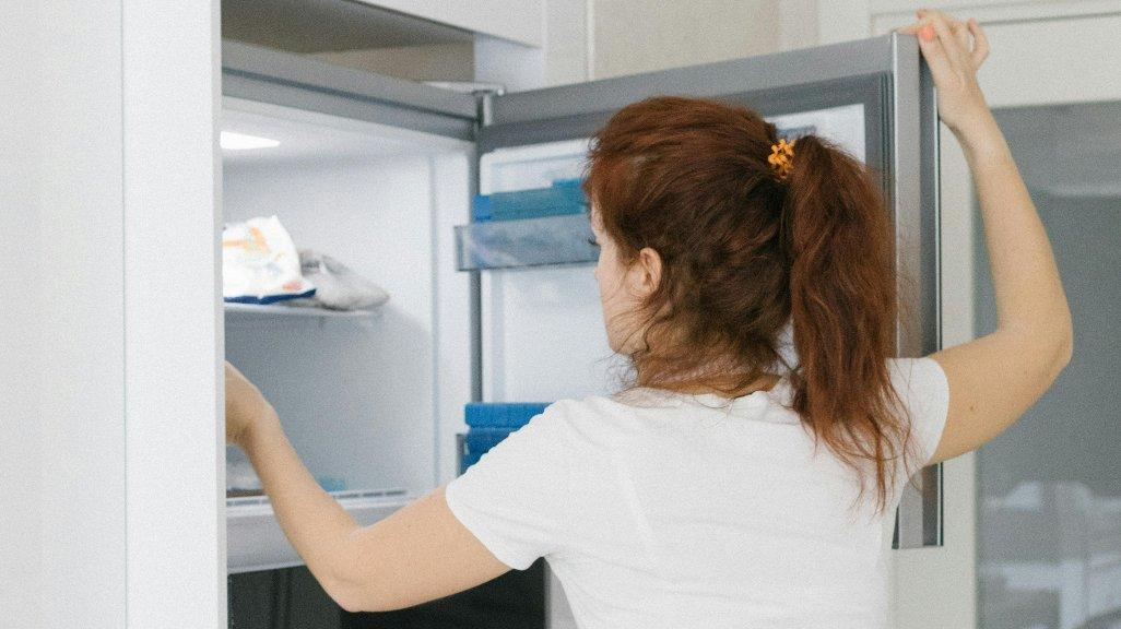 Ilustrasi membersihkan freezer kulkas.