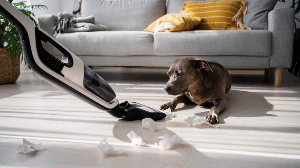 Ilustrasi penggunaan vacuum cleaner.