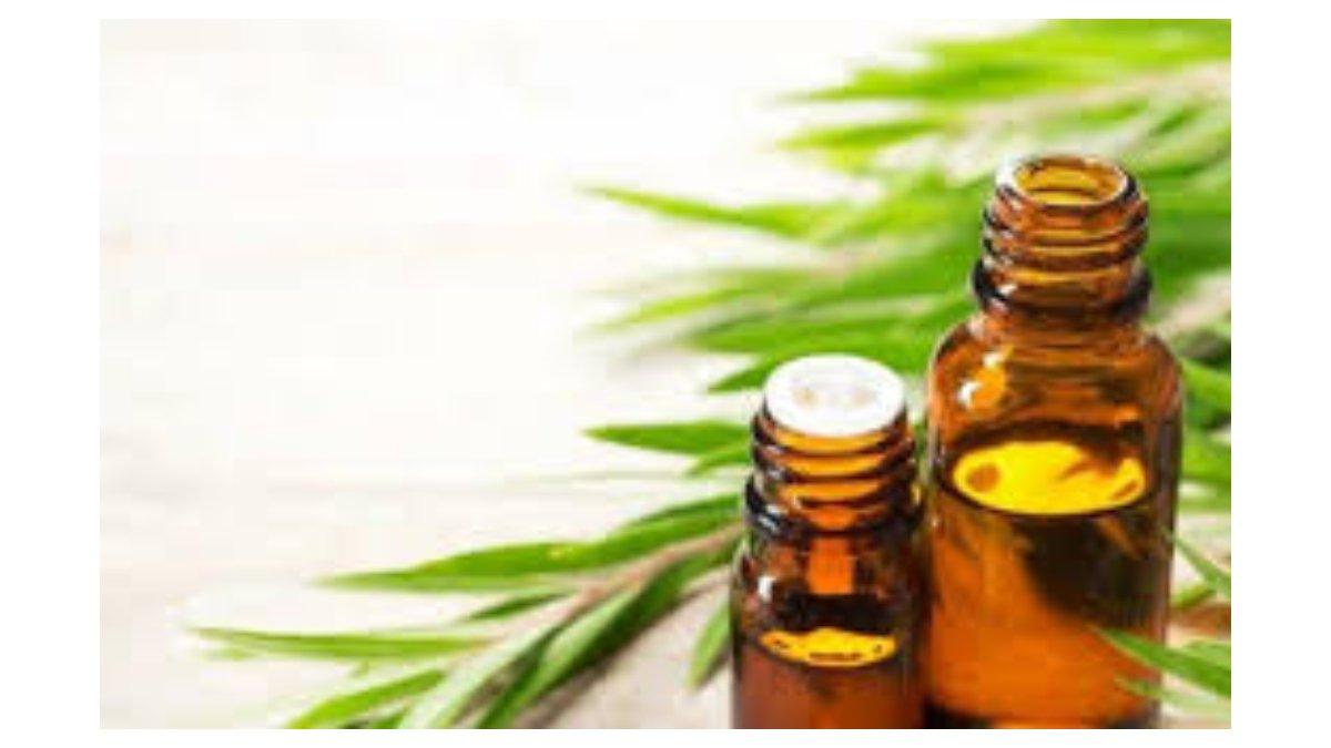 Ilustrasi rumah wangi sepanjang hari dengan menggunakan essensial oil