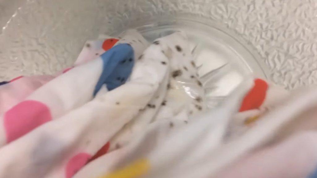 Ilustrasi tips hilangkan noda jamur hitam di baju.