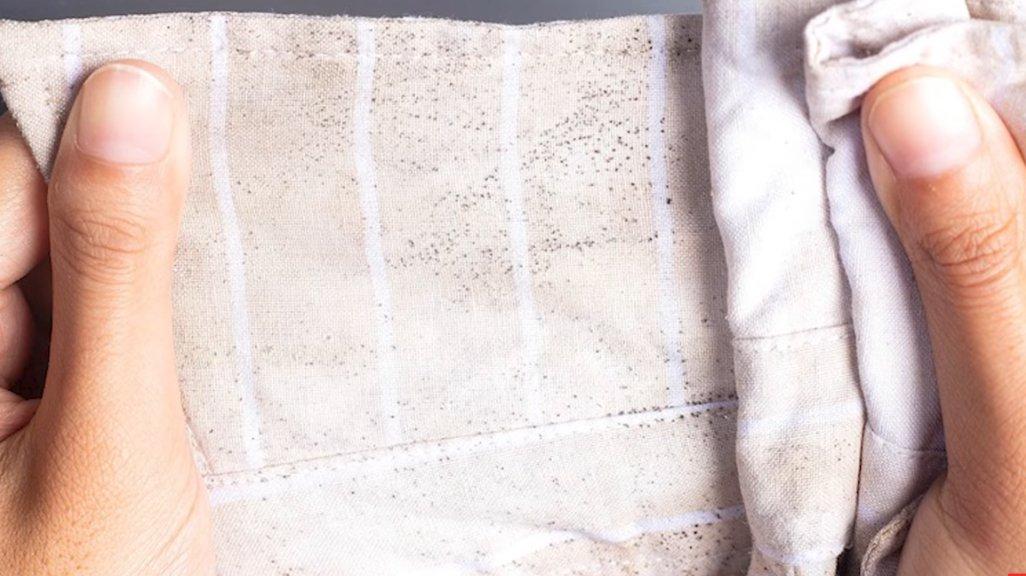 Ilustrasi tips hilangkan noda jamur hitam di baju.
