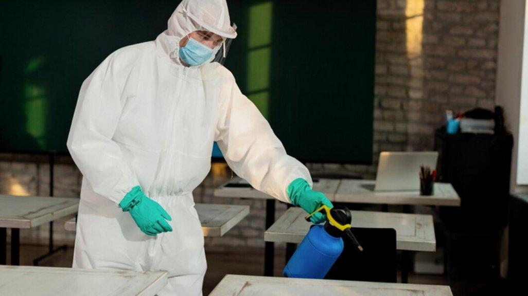 Ilustrasi Jasa Pembasmi Hama