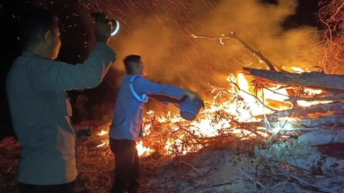 55 Hari Tanpa Hujan, 1.098,75 Hektare Rinjani Terdampak Karhutla, Ikuti Perkembangannya di TribunX