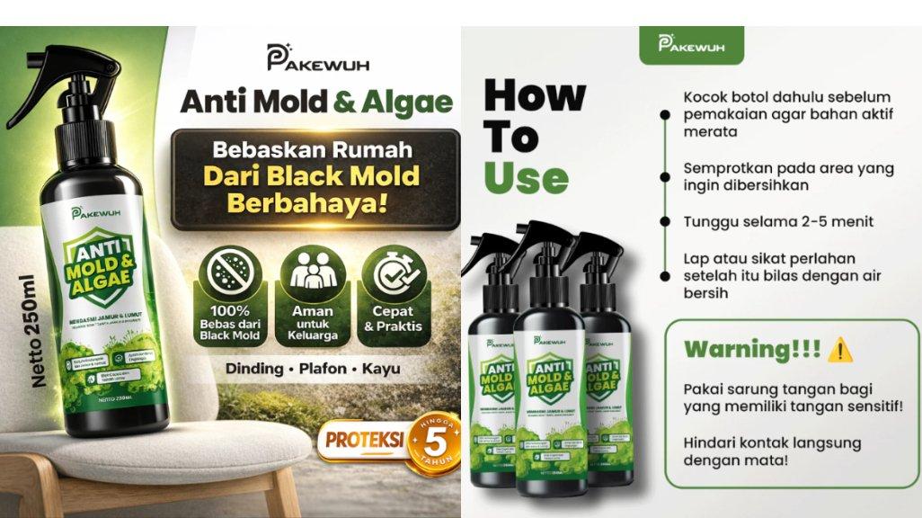 Pakewuh - Anti Mold dan Algae Membasmi Black Mold Membandel pada Dinding Kayu Plafon
