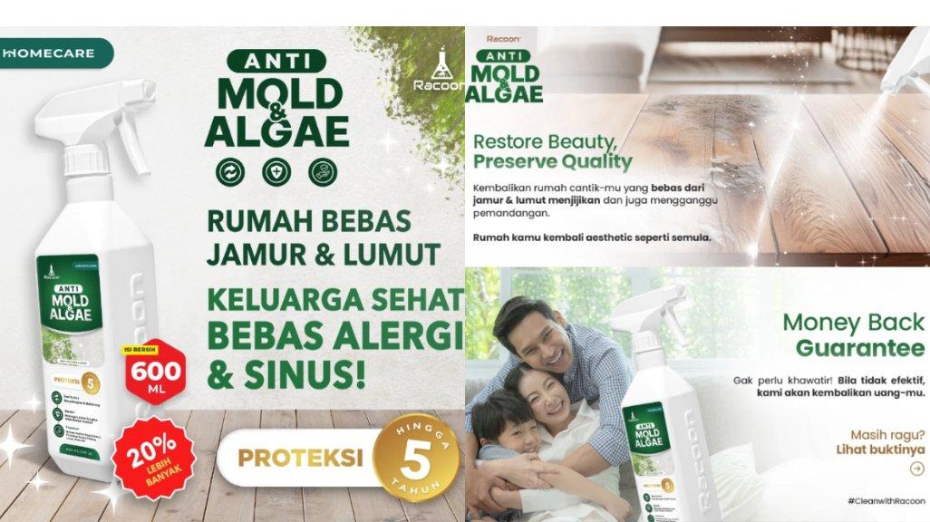 RACOON Anti Mold dan Algae Spray Anti Jamur dan Lumut Semua Permukaan 600ML