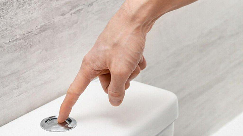 Tombol flush kloset duduk ada yang kecil dan besar