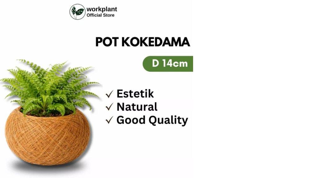 Workplant - Pot Kokedama siap pakai pot sabut kelapa sekaligus media tanam cocofiber