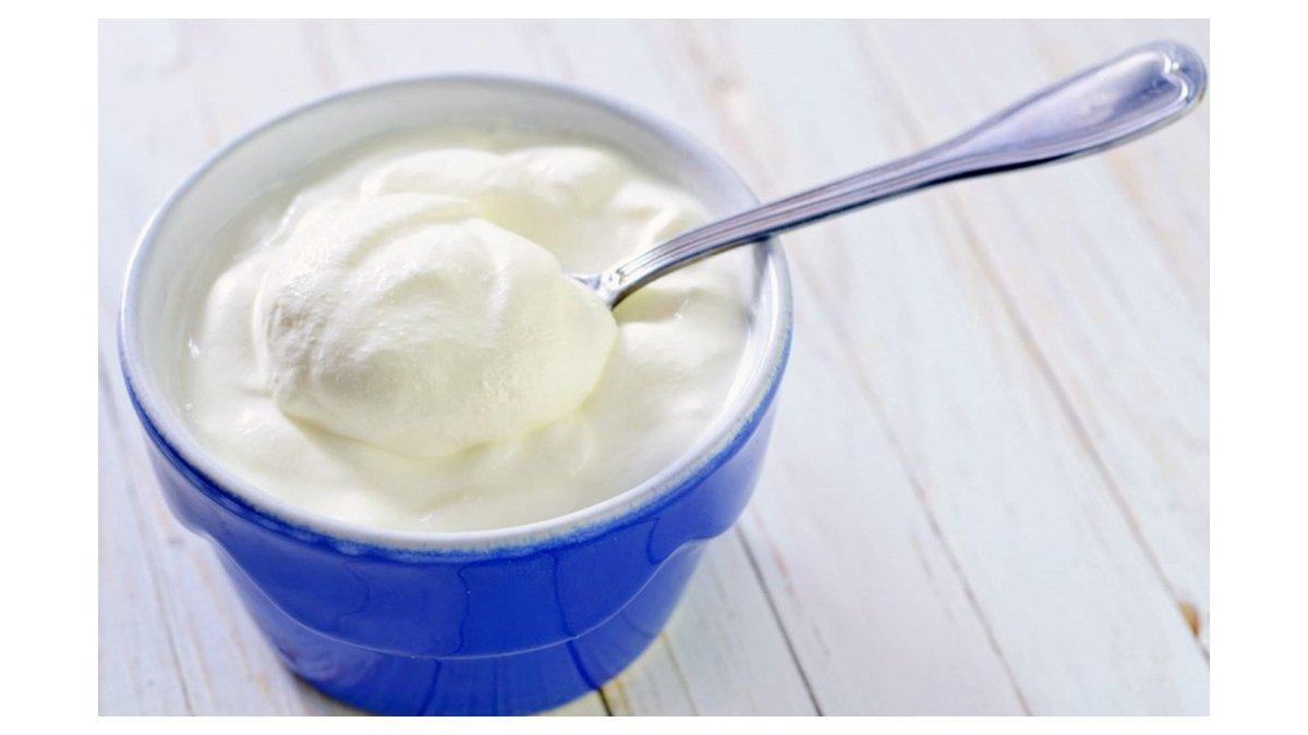 Yougurt Tawar Sumber Protein