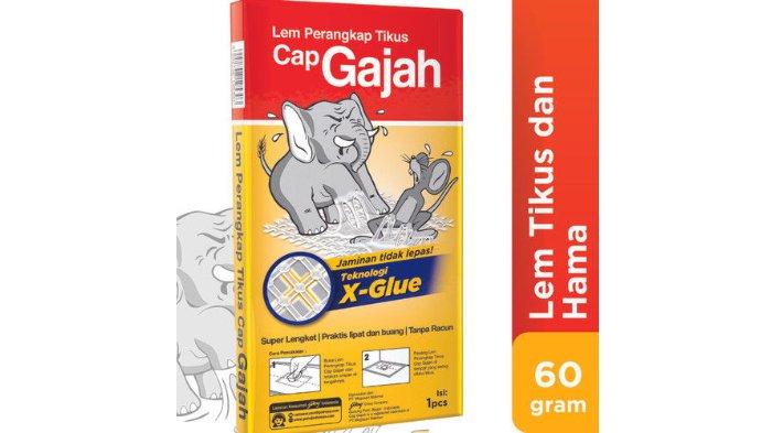 CAP GAJAH Lem Tikus 