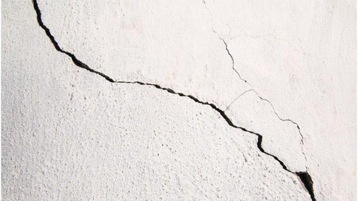 celah sedikit saja pada dinding luar rumah bisa mengundang berbagai serangga masuk.