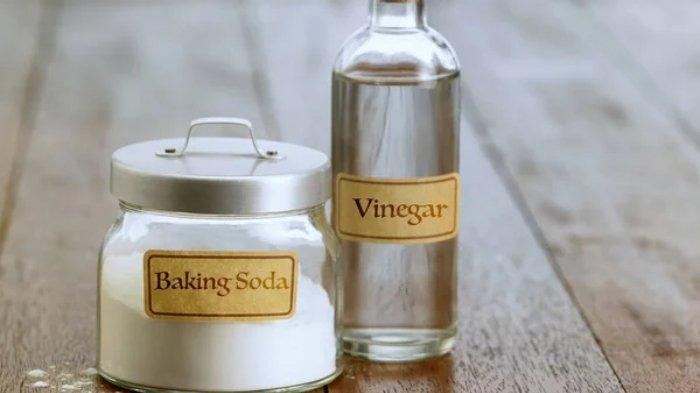 cuka dan baking soda