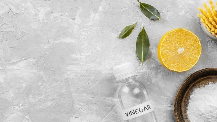 Ilustrasi cuka putih untuk segudang keperluan rumah tangga.