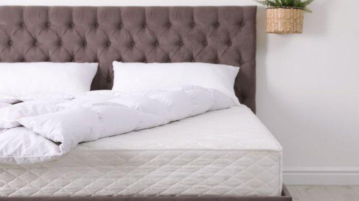 5 Rekomendasi Sping Bed Lebar 180 x 200 Cm, Rasakan Kenyamanan Tidur yang Lebih Leluasa